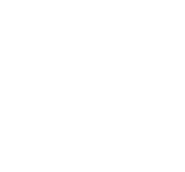 DASH